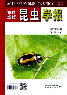 xW(xu)